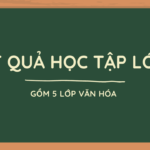 KẾT QUẢ HỌC TẬP KHỐI 11