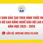 Tuyển sinh đào tạo theo hình thức Mô đun trình độ Cao đẳng nghề Bảo hộ lao động năm học 2025 – 2026